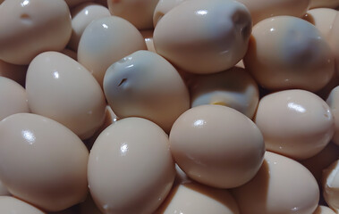 chocolate easter eggs