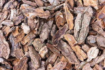 Wood chip bark chippings, texture background close up