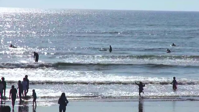 神奈川県湘南の海・波の乗るウインドサーフィンの列,japan,kanagawa,sea