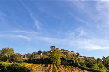 View of the Monterrei castle (10th-12th centuries) with some vineyards in the foreground. Verín,...