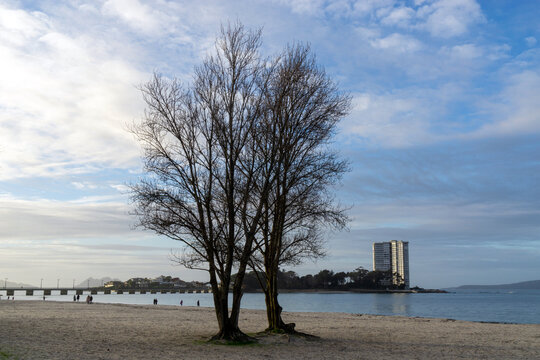 Vista de la isla de Toralla en la r&iacute;a de Vigo. Galicia, Espa&ntilde;a.