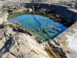 Cet&aacute;rea redonda (1895)c. Antiguo vivero de marisco. A Guarda, Galicia, Espa&ntilde;a.