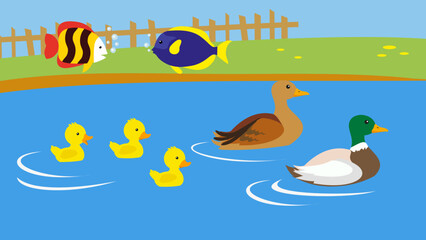 Ducks and ducklings swim in the pond, fish fly over the water