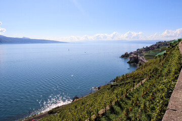 Chexbres - Lavaux vineyards on terraces, UNESCO World Heritage Site, Lake Geneva shore, Lac Leman. One of Switzerland's best-known and most fascinating wine-growing regions.
