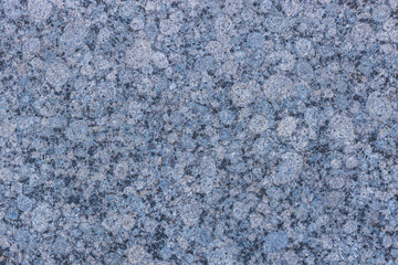 Fototapeta na wymiar Gray-blue granite as a background, texture