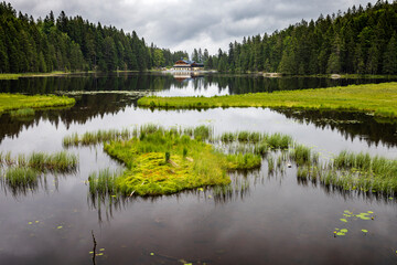 Schwimmende Insel im Großer Arbersee an einem regnerischen Sommertag