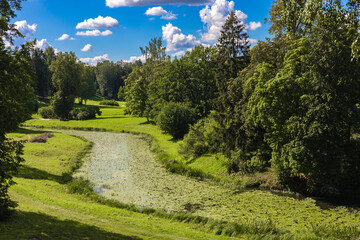 Fototapeta na wymiar A river in a green park. Summer sunny panoramic view of a beautiful park in Pavlovsk. Russia, Saint Petersburg 