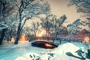 winter snowy blizzard bridge night park in cold temperature weather scene