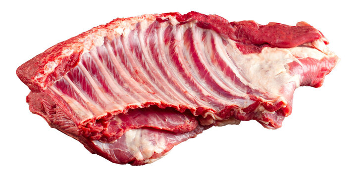 Isolated fresh raw mutton ribs meat part