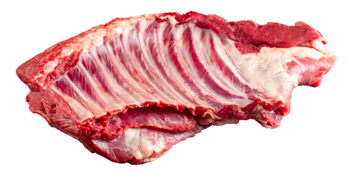 Isolated fresh raw mutton ribs meat part