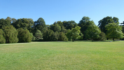 Alley with path in the garden or park