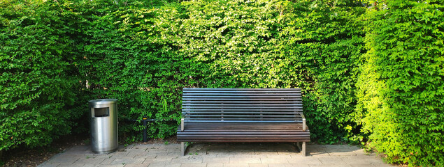 Wooden empty bench in the park