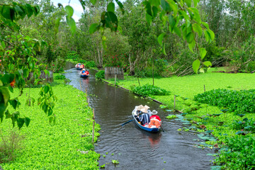 The ferryman takes traveler on a boat tour along the canals in the mangrove forest. This is an eco...