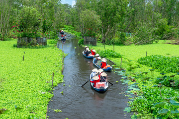 The ferryman takes traveler on a boat tour along the canals in the mangrove forest. This is an eco tourism area at Mekong Delta in An Giang, Vietnam