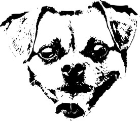 正面を向いた犬の顔の写真をイラストに加工