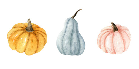 Watercolor autumn pumpkin set. Orange, pink and blue pumpkin for autumn design