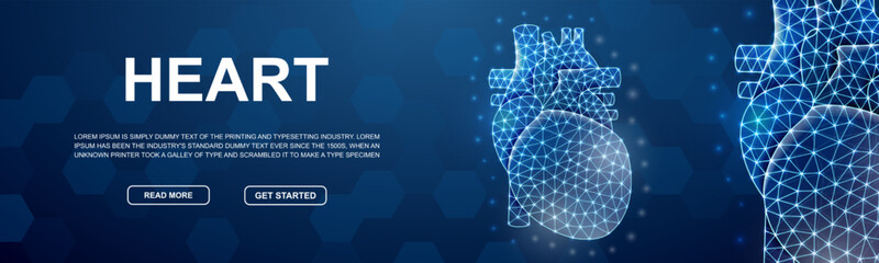 Fototapeta Heart polygonal horizontal banner. Cardiology low poly symbol for head promotion banner. Organ anatomy design template illustration concept. obraz