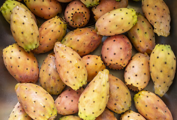 fresh prickly pears