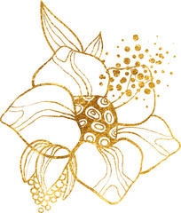 Gold line floral arrangement, fancy outline flowers with leaves and pollen on white background, hand drawn botanical illustration