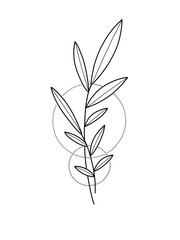 Linear illustration of black leaves with circles on a white background. hand drawn sketch isolated. use for logo, for tattoo, for design of labels or printed cards, stickers, badges and invitations