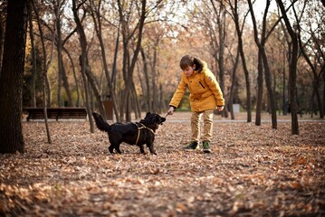 Very smiling young European boy seven years old in the brown pants and yellow jacket is playing with the black dog in the autumn park