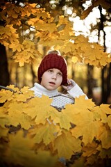 Young European boy seven years old in the red wool hat and white sweater is standing in the autumn park behind the yellow maple leaves 
