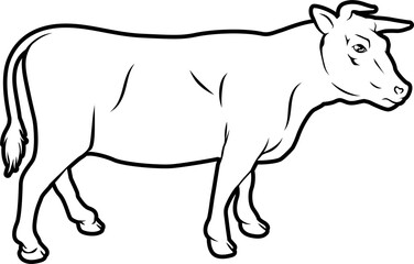 An illustration of a cow, could be a label for beef