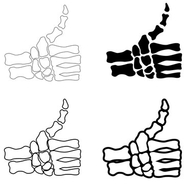 Human skeleton hand. Illustration of a skeleton hand showing thumb up. With various strenghts of outlines.