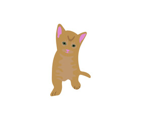 ginger kitten cartoon sketch on a white background