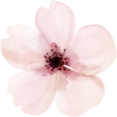 Naklejka premium Watercolor Flowers Elements