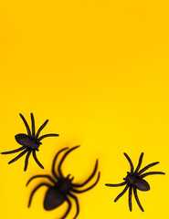 Flat lay levitation of tree black horror spiders of different sizes directions on yellow backdrop with copy space. Halloween decoration spooky background concept for holidays
