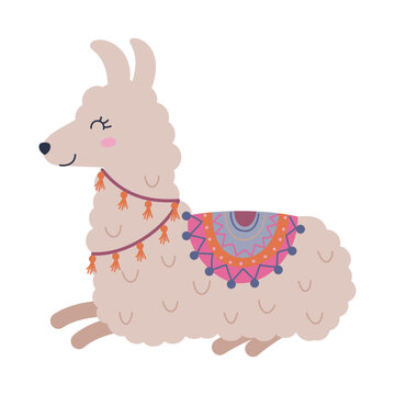 vector illustration of cute funny llama