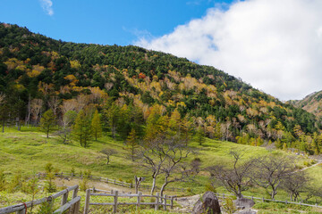 涸沼　かれぬま