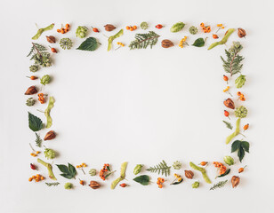 Autumn season natural rectangular frame made of forest fruits, wild plants, leaves and berries, flat lay design