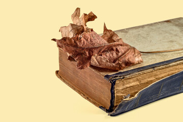 Old torn book and old autumn leaf on a yellow background.