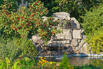 Decorative small waterfall in the garden. Red berries on bush and dense vegetation. Sunny day