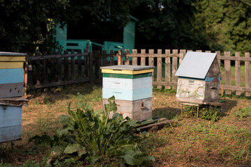 Fototapeta na wymiar village apiary, honey production. Beehive