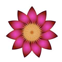 Flower decoration PNG. Floral design element with transparent background.