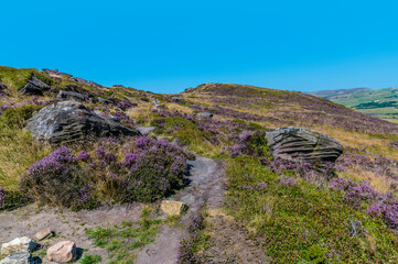 A view of wind eroded rocks beside the path at the summit of the Roaches escarpment, Staffordshire, UK in summertime