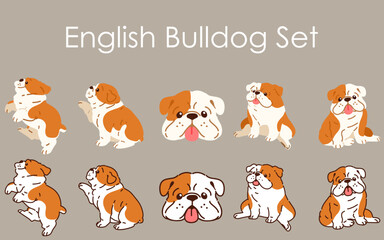 Simple and cute English Bulldog illustrations set