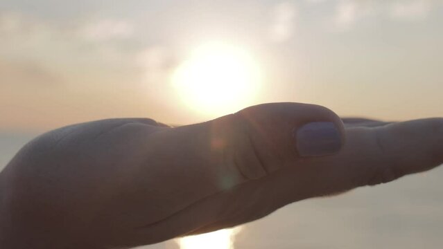 sun on the palm