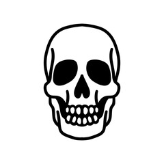 Obraz premium skull - line art illustration