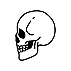skull - line art illustration