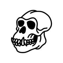 skull - line art illustration