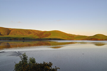 Rolling Hills Küste Neuseeland