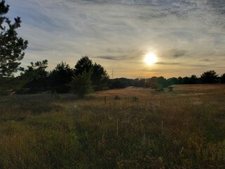 Fototapeta premium sunset over the field