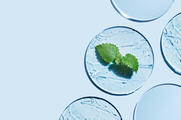 Sample of gels cosmetic product and green leaf in petri dish on blue background, hard shadows....