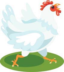 The chicken runs along the green lawn. Farm. Natural economy.