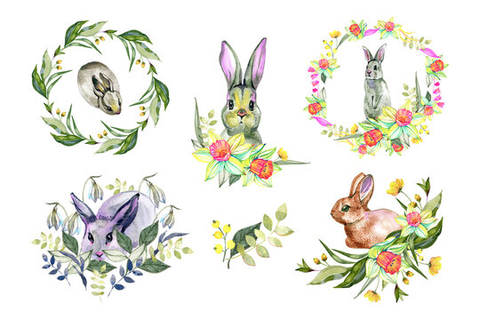 Watercolor rabbit portrait with flower wreath. Springtime theme