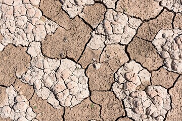 Tierra agrietada debido a la sequía y al cambio climático